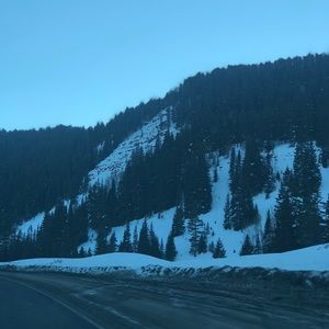 Meet your Posher, Dora